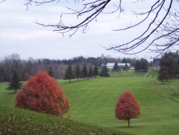 golf course